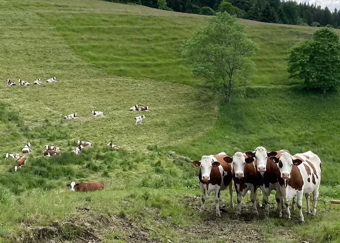 Des Ruisseaux Riotord